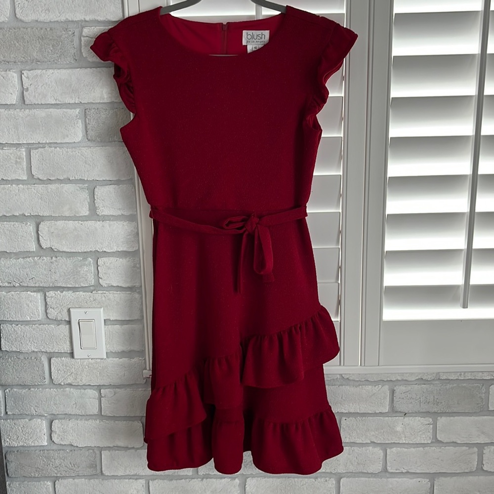 $10 bundle sparkly red dress